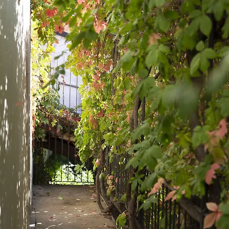 Palazzo Sismonda Bed & Breakfast 3*