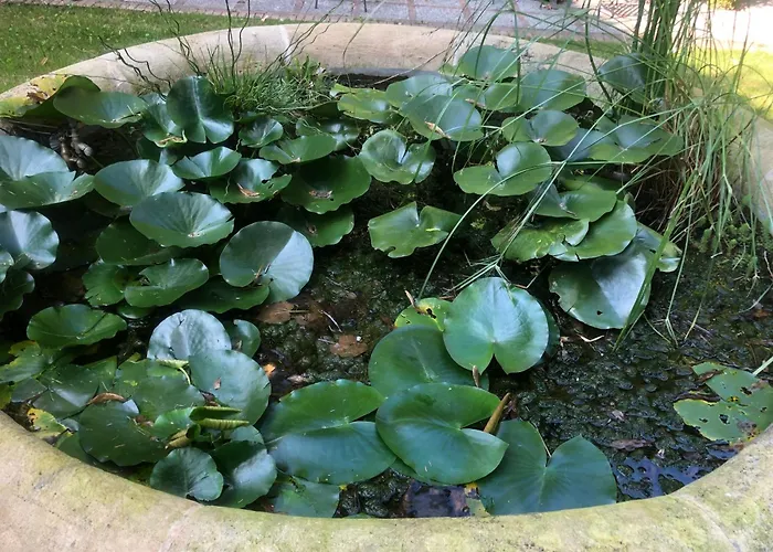 Palazzo Sismonda Bed & Breakfast