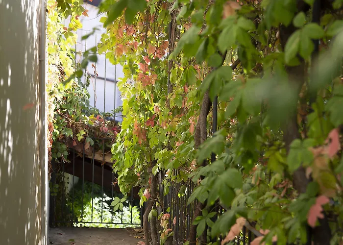 Palazzo Sismonda Alojamento de Acomodação e Pequeno-almoço 3*